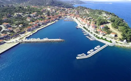 Sali